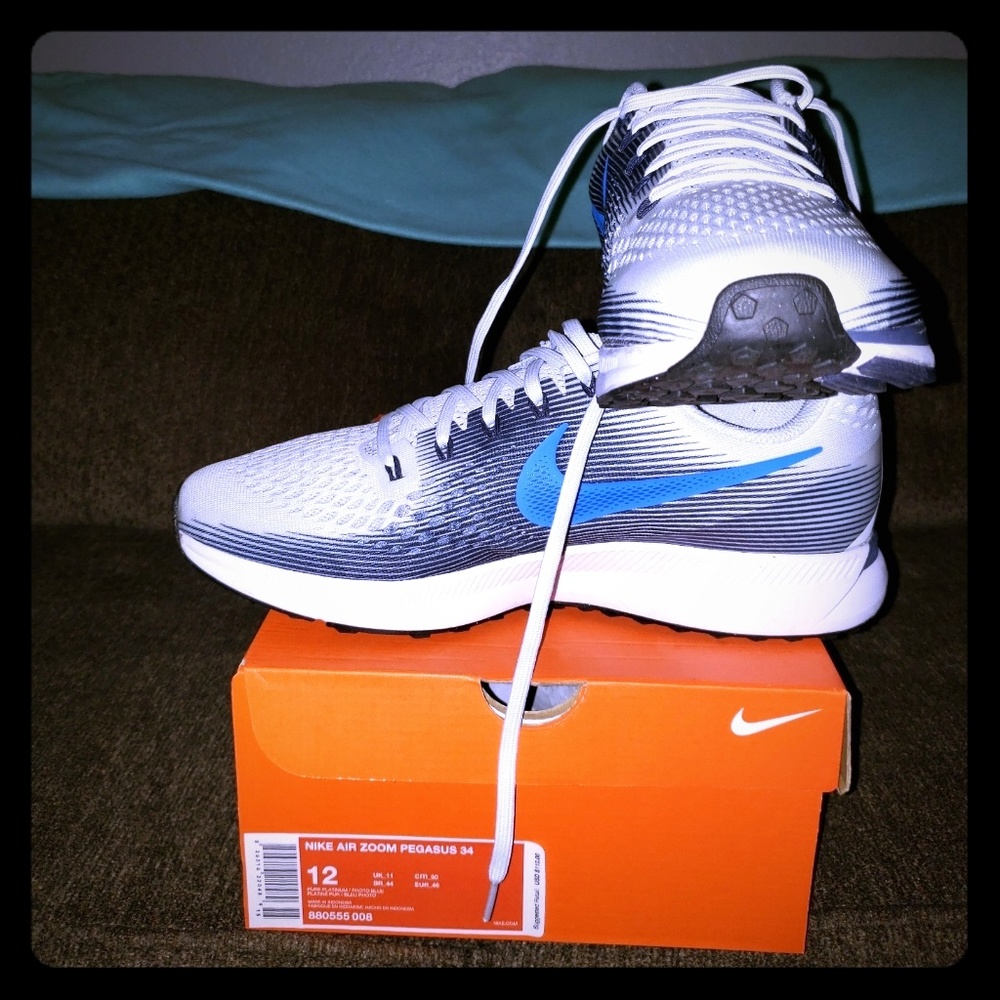 Men's Nike Air Pegasus